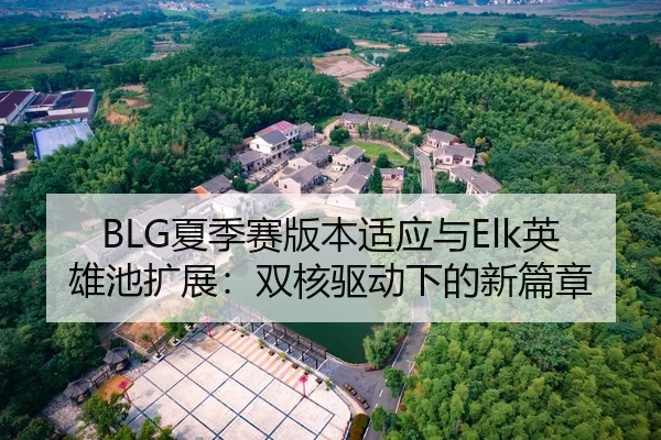 BLG夏季赛版本适应与Elk英雄池扩展：双核驱动下的新篇章