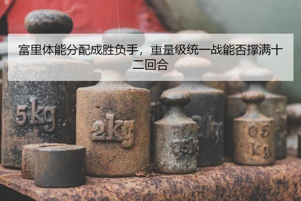 fu-li-ti-neng-fen-pei-cheng-sheng-fu-shou-zhong-liang-ji-tong-yi-zhan-neng-fou-cheng-man-shi-er-hui-he-2-730.jpg