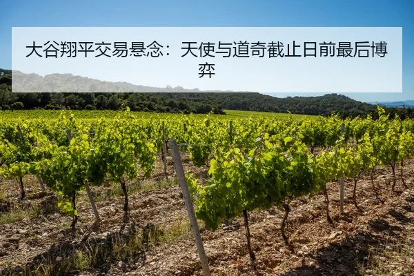 大谷翔平交易悬念：天使与道奇截止日前最后博弈