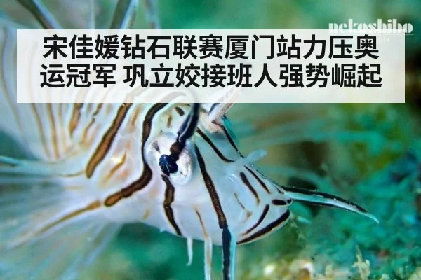 宋佳媛钻石联赛厦门站力压奥运冠军 巩立姣接班人强势崛起